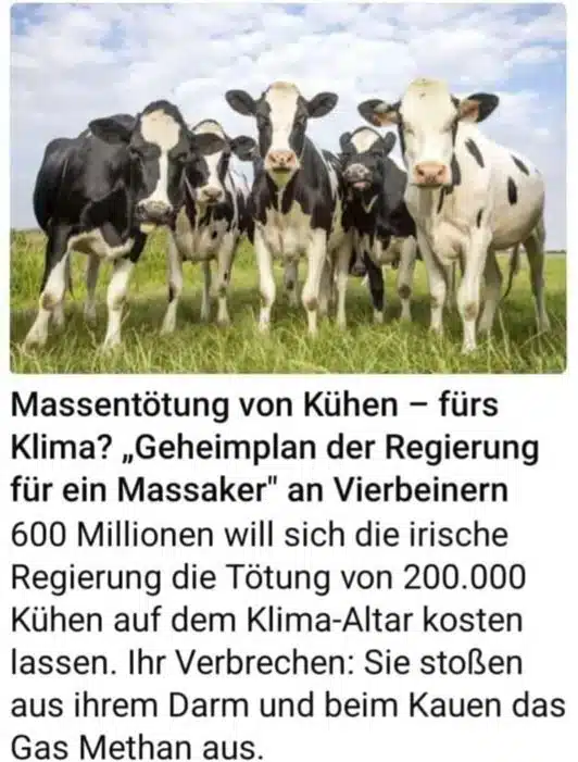 Kein Kuhschlachten für das Klima: Die Wahrheit hinter den irischen Plänen