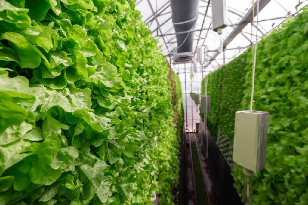 Vertical Farming: Nachhaltige Landwirtschaft der Zukunft - Bild Freepik